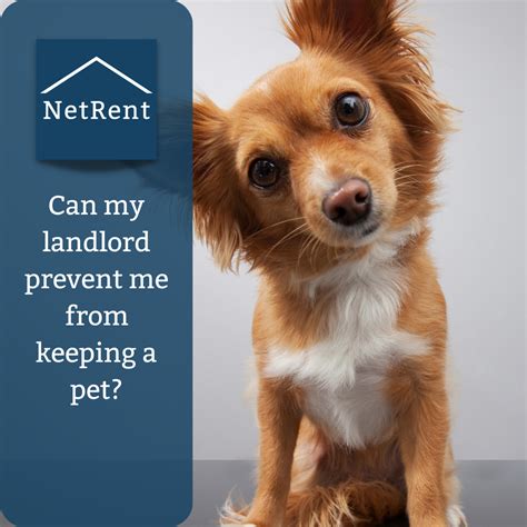 can landlords prevent pet keeping.